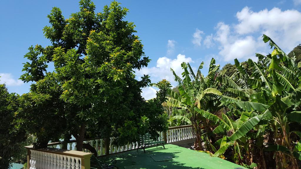 Hibiscus House Seychelles Self Catering Leilighet Victoria Eksteriør bilde