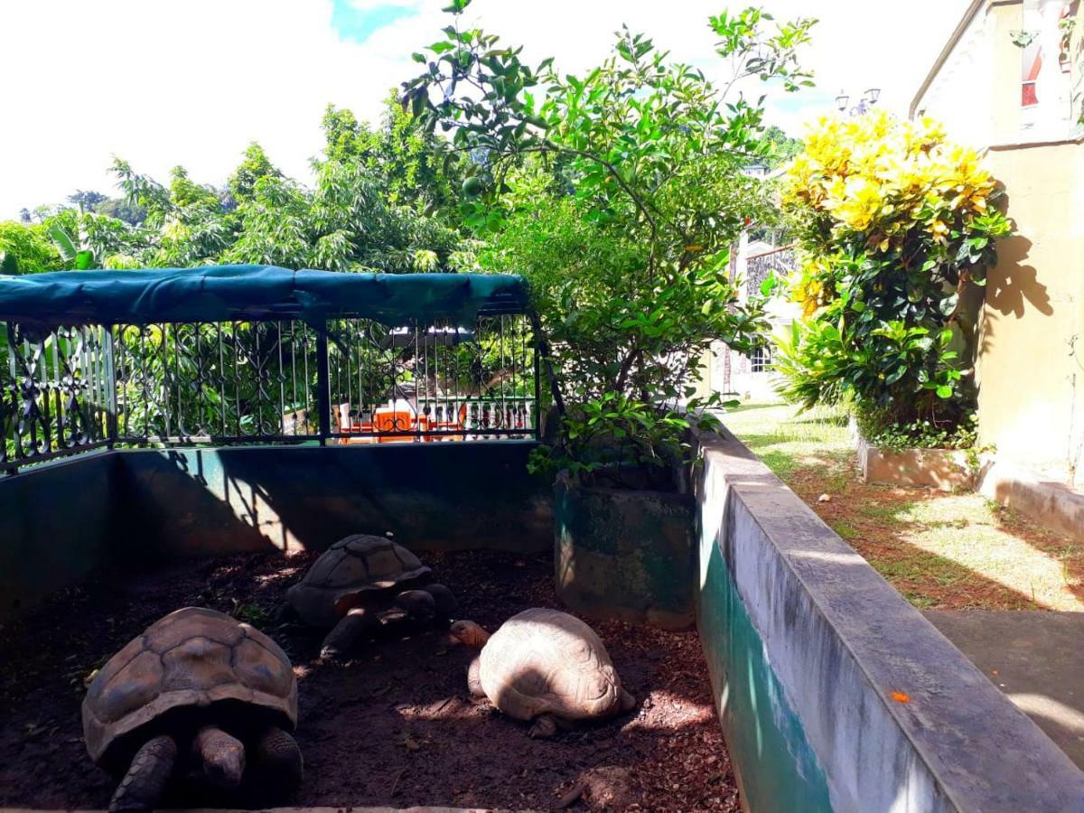 Hibiscus House Seychelles Self Catering Leilighet Victoria Eksteriør bilde